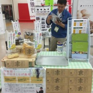 東京にて出展中！！